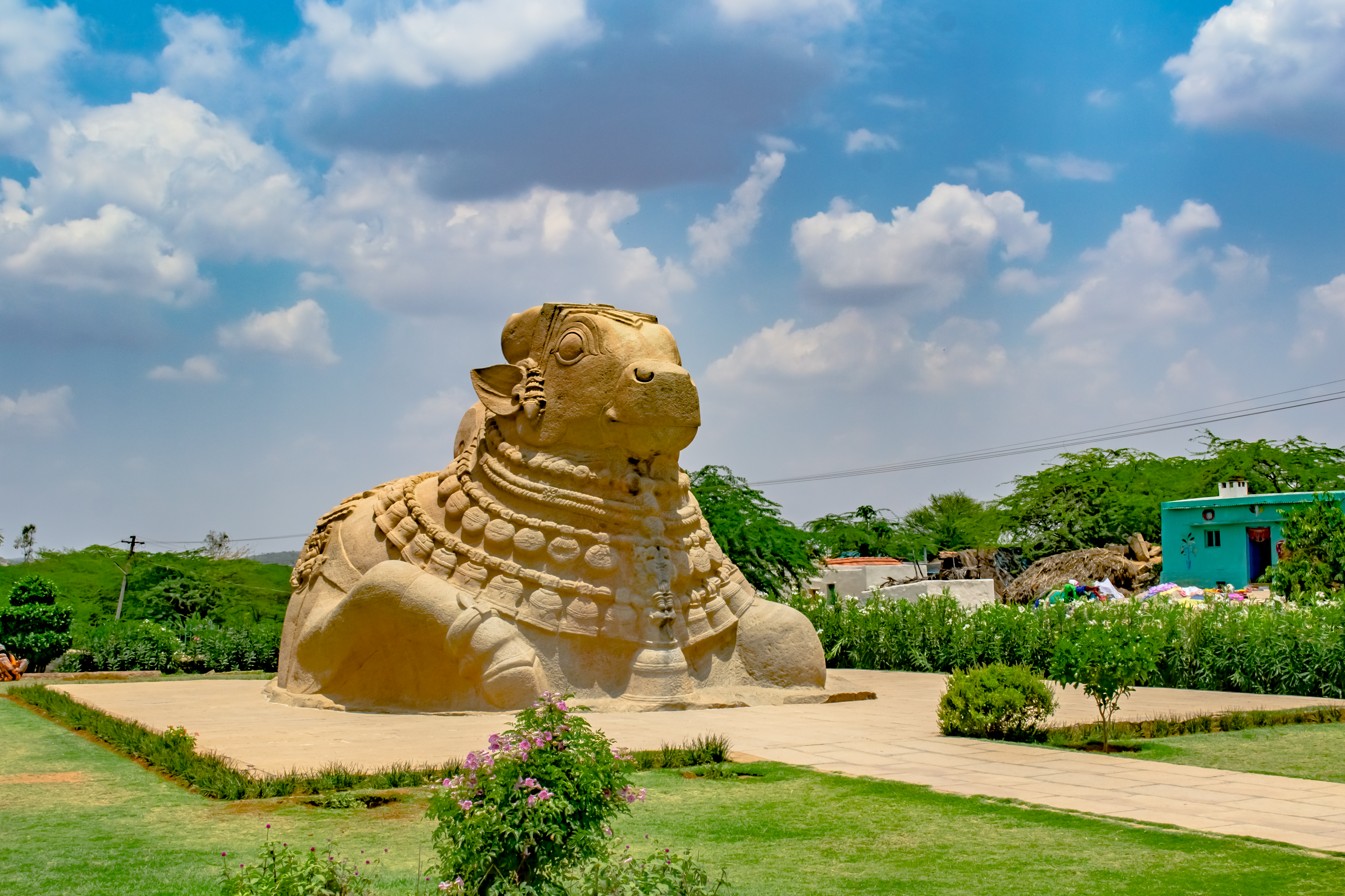 Andhra Pradesh Bans Black Burley Tobacco