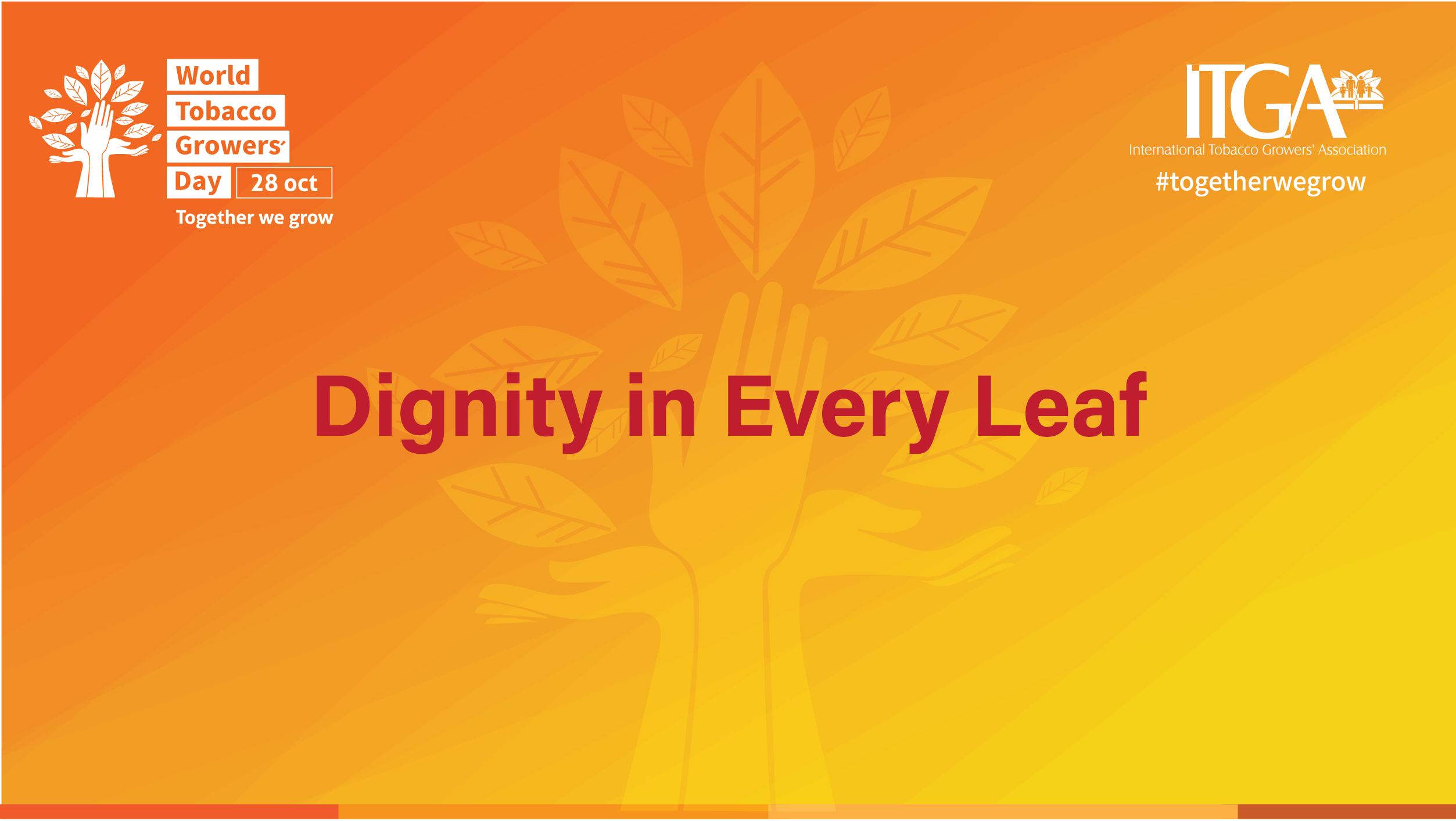 Well Done: Industry Celebrates WTGD 2025