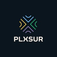 ‘Billion-Dollar’ Brand Plxsur Sold  for $97,000