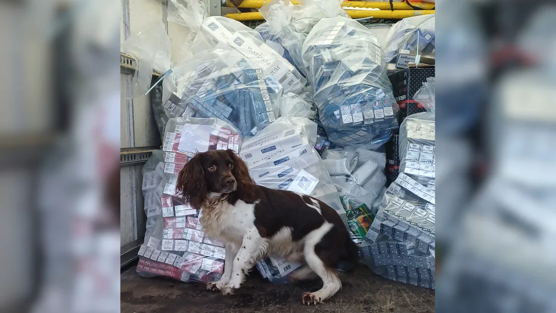 UK Council Seizes $878,000 in Illicit Tobacco