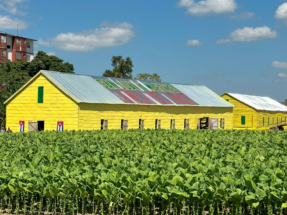 Cuba Confirms Talks With Trump Administration