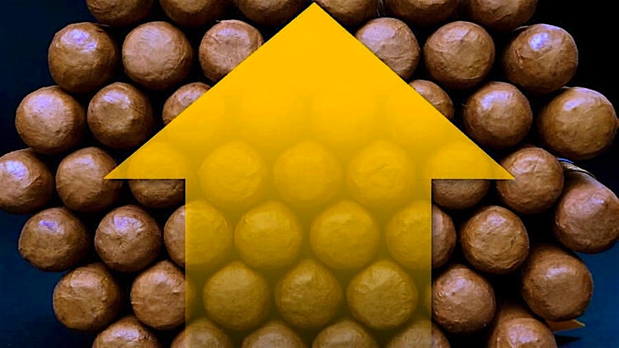 USTR Launches New Tariff Case, Targets Cigars