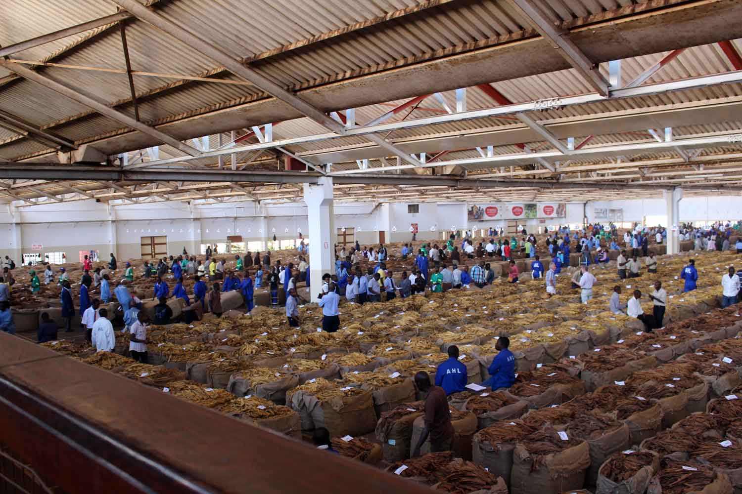 Malawi Opens 2026 Tobacco Auction Floors