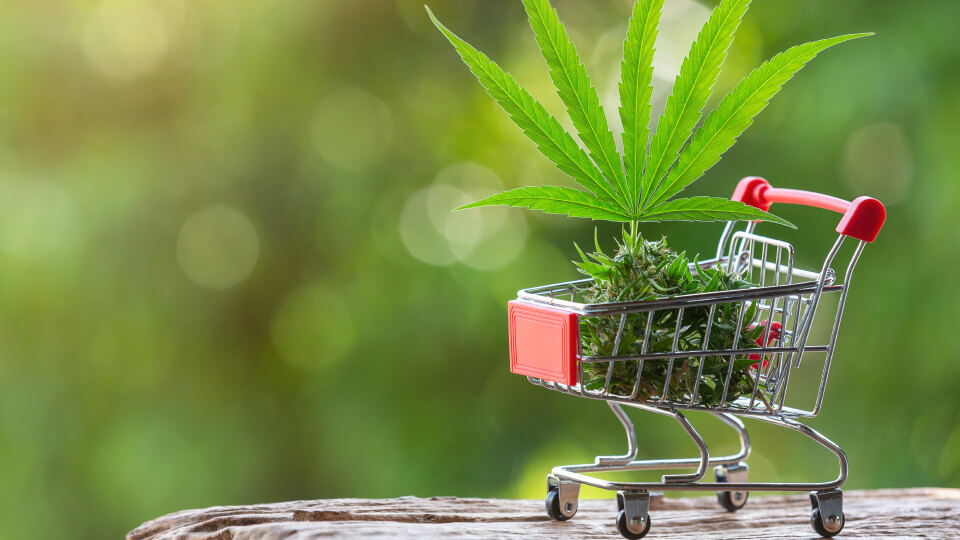 Virginia OKs Sales of Recreational Cannabis
