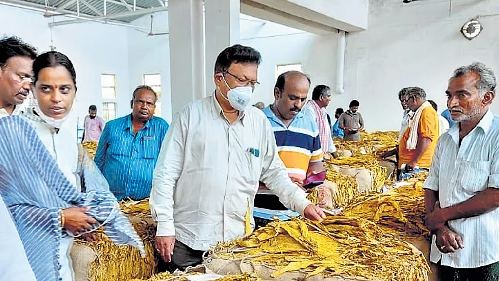 Indian Tobacco Auctions Continue to Struggle