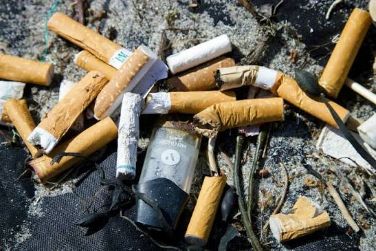 Another City Sues Big Tobacco Over Butts